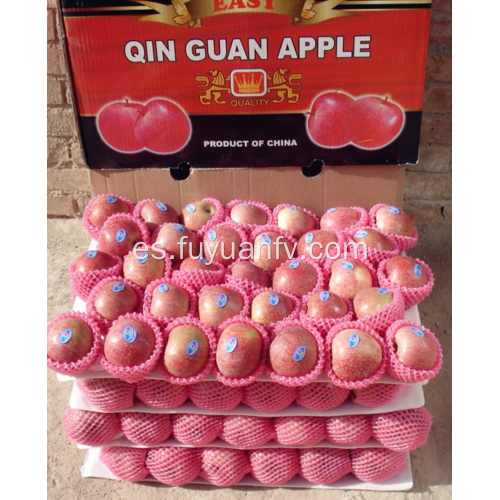 Manzana Qinguan fresca con color de rayas